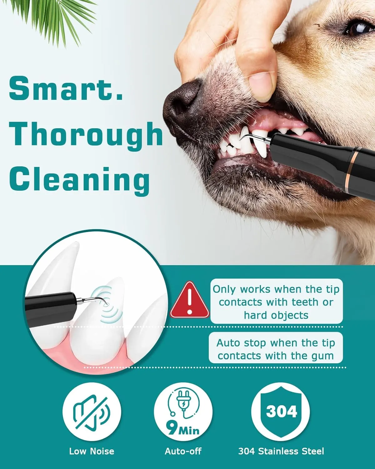 12-in-1 Dog Tooth Brushing Kit - Ultrasonic Tartar Plaque Remover Tool for Teeth with LED Light, Dog Sonic Tooth Cleaner with Dental Tools Scaler Scraper for Dog Teeth Cleaning, USB Charge