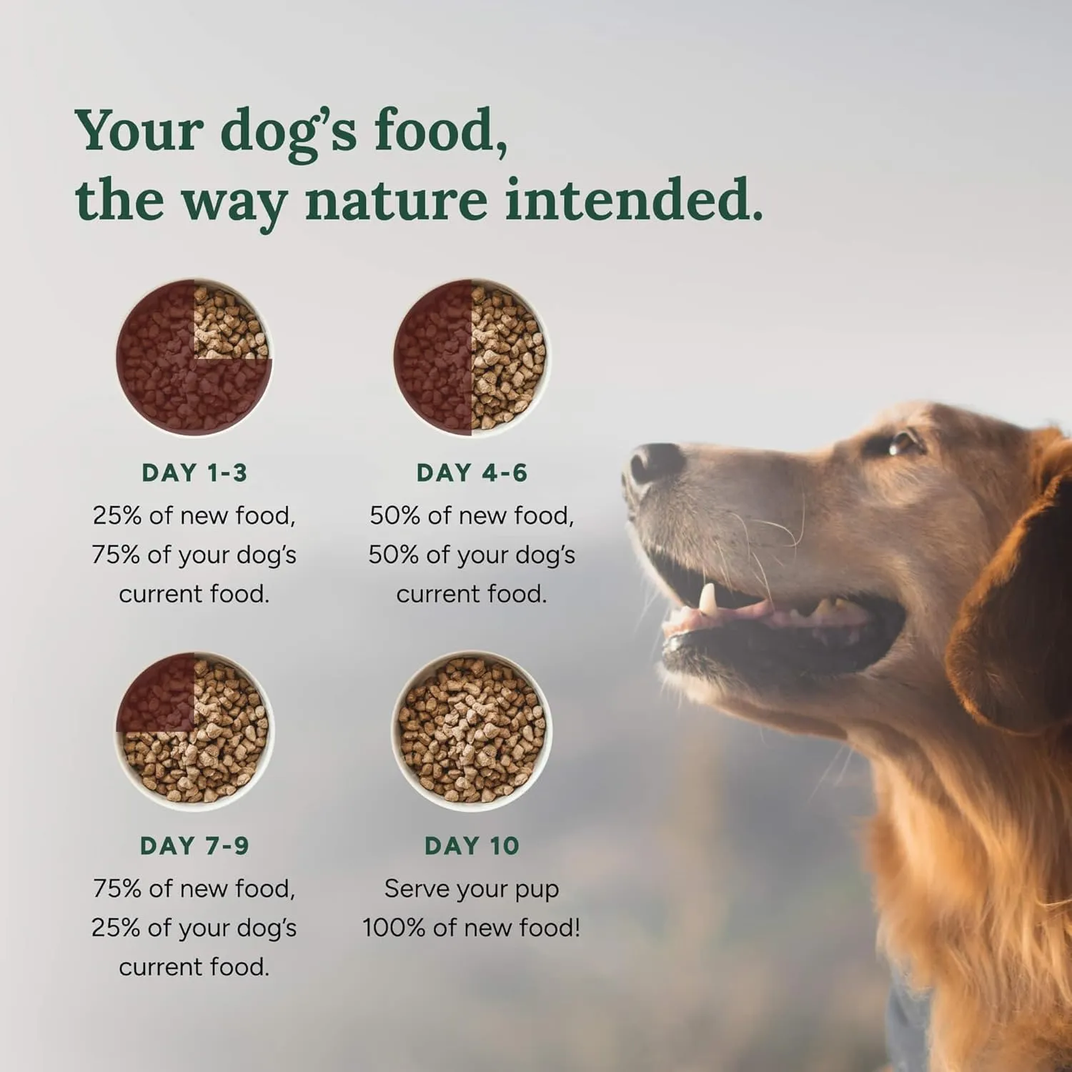 360 Pet Nutrition Freeze-Dried Raw Dog Food, High-Protein Complete Meal w/Beef, Chicken, Fish, Organs, Superfoods, No Fillers, 16 oz Bites/Kibble (Multi-Protein)  Made in USA