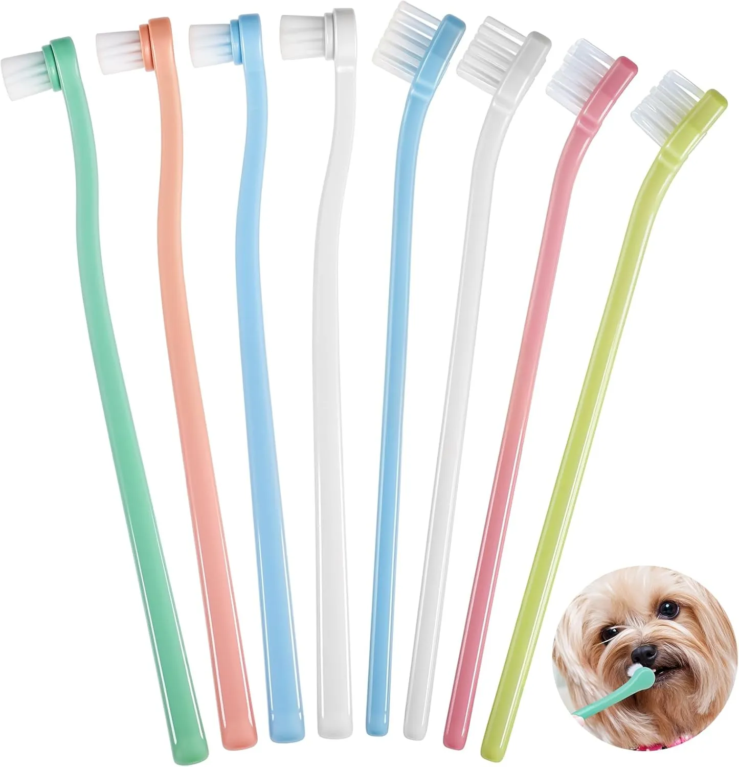 8pcs Cat Tooth Brush, 2styles Colorful Soft Mini Head Kitten Toothbrush Small Dog Toothbrush, Cat Teeth Cleaning Tooth Brush, Pet Brushing Kit Toothbrush for Cats Puppy Dental Care