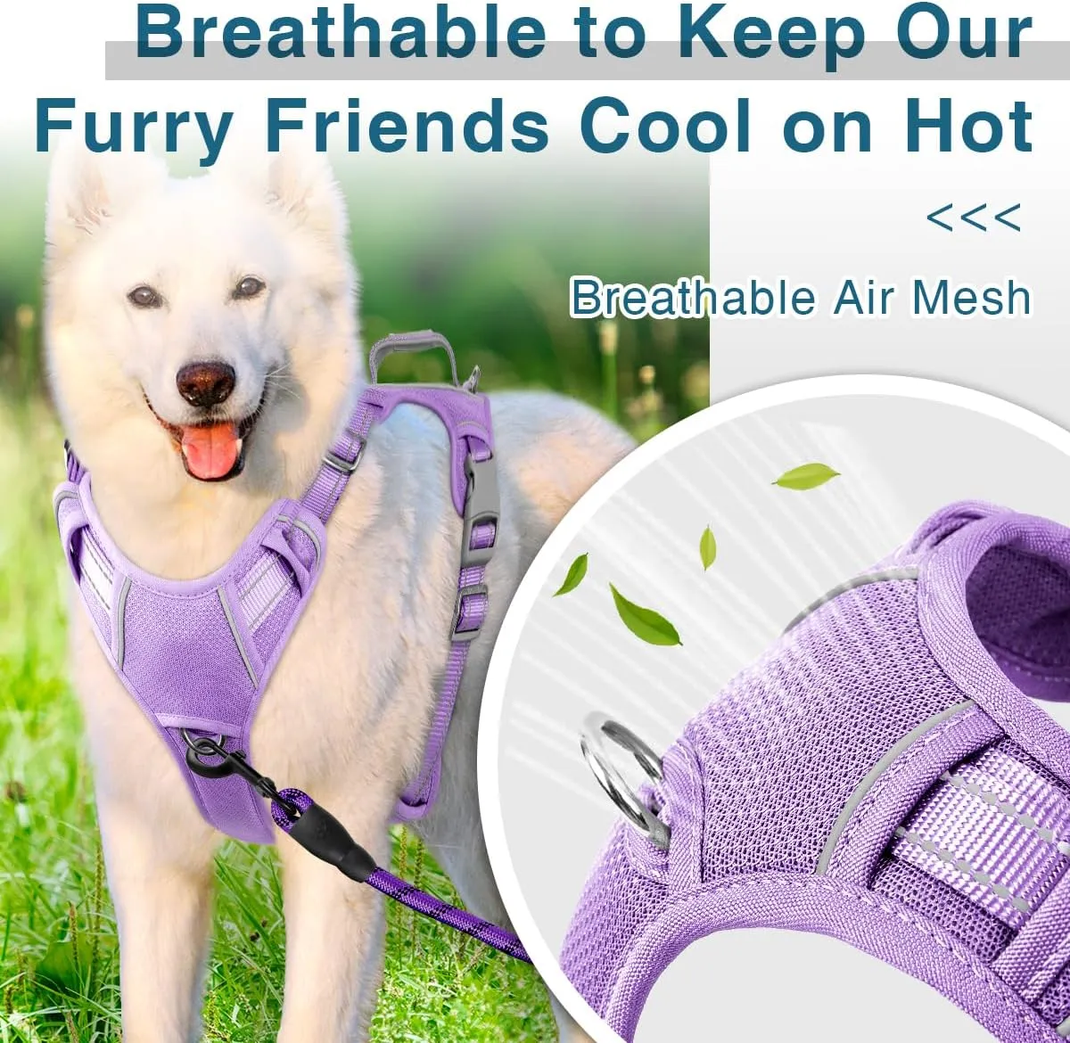 BARKBAY Dog Harness No Pull with ID Tag Pocket - Heavy Duty, Reflective, Easy Control for Large Dogs (Violet Purple,S)