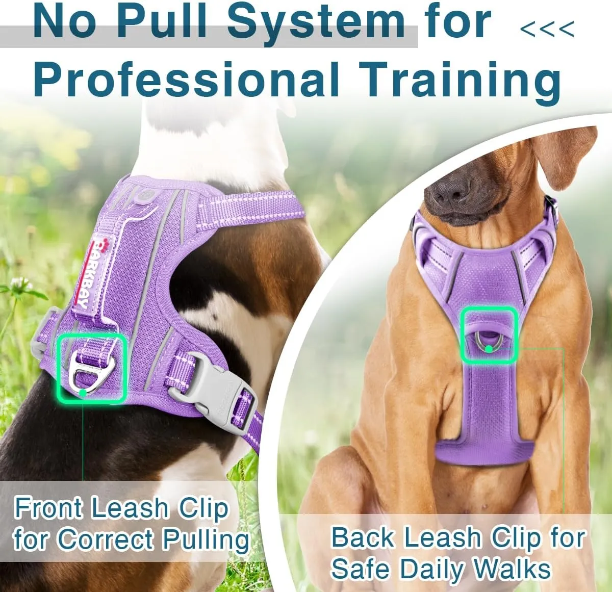 BARKBAY Dog Harness No Pull with ID Tag Pocket - Heavy Duty, Reflective, Easy Control for Large Dogs (Violet Purple,S)