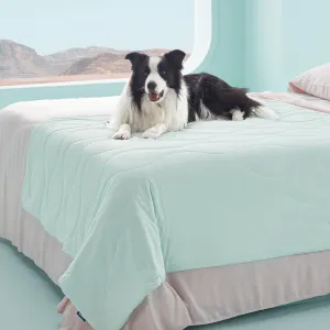 Bedsure Premium Cooling Blanket for Extra Large Dog - Q-MAX>0.5, Breathable Summer Washable Cold Pet Mat, Soft Durable Self Cooling Dog Mat for Hot Weather, Turquoise Green, 50x60