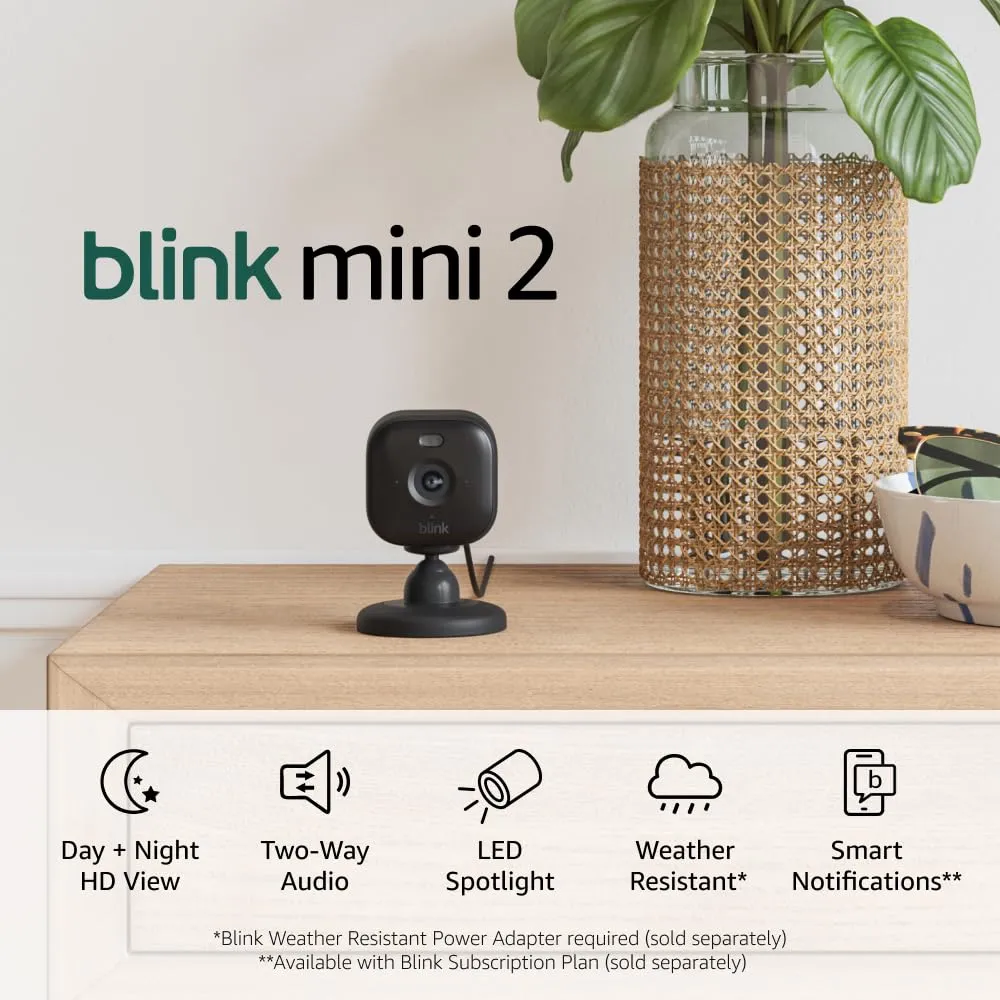 Blink Mini 2 (Newest Model)  Home Security & Pet Camera(s) with HD video, color night view, motion detection, two-way audio, and built-in spotlight  1 camera (Black)