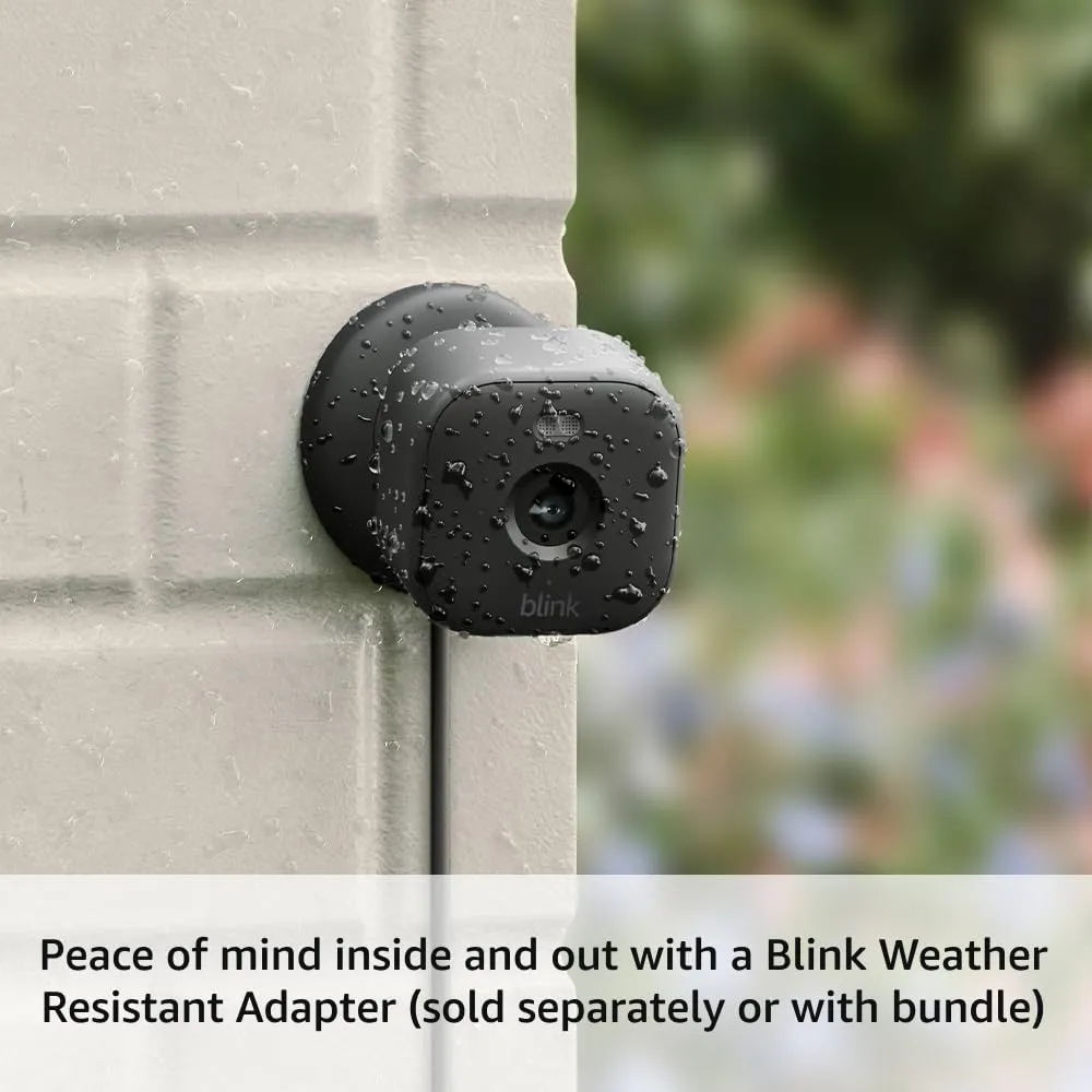 Blink Mini 2 (Newest Model)  Home Security & Pet Camera(s) with HD video, color night view, motion detection, two-way audio, and built-in spotlight  1 camera (Black)