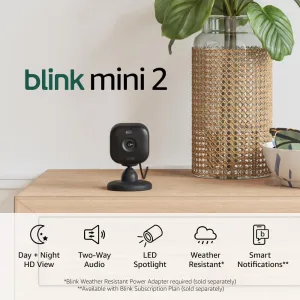 Blink Mini 2 (Newest Model)  Home Security & Pet Camera(s) with HD video, color night view, motion detection, two-way audio, and built-in spotlight  1 camera (Black)