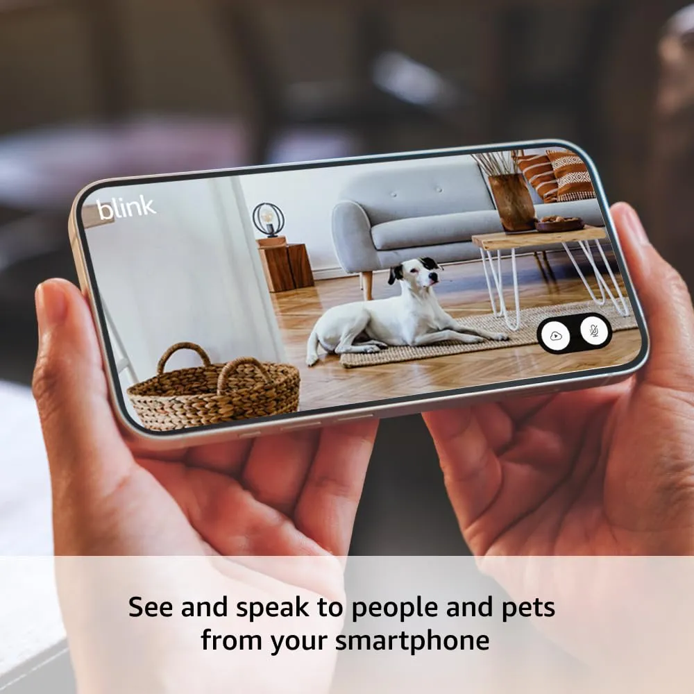 Blink Mini 2 (Newest Model)  Home Security & Pet Camera(s) with HD video, color night view, motion detection, two-way audio, and built-in spotlight  1 camera (Black)