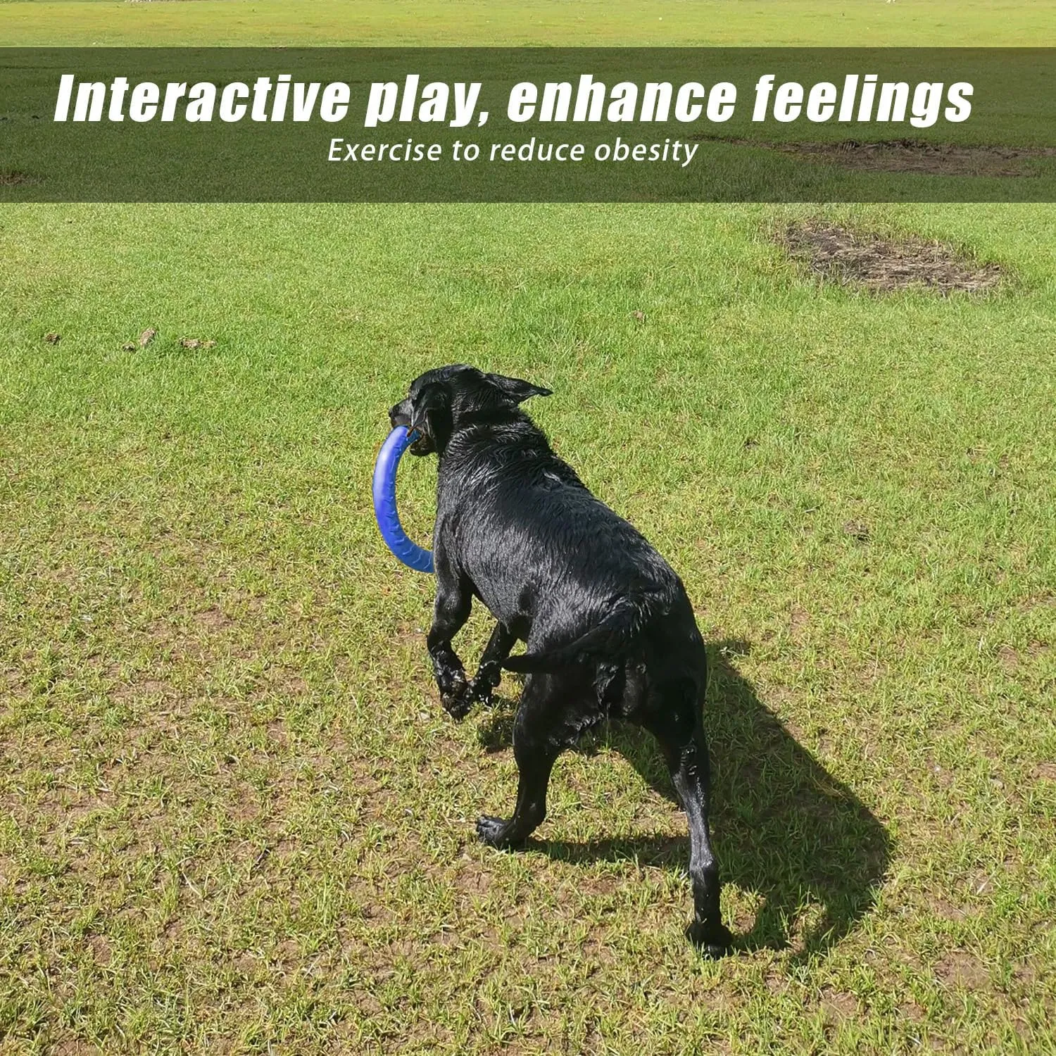 Blue Indestructible Dog Toys for Aggressive Chewers Flying Discs for Medium/Large Breeds Dog Training Ring,