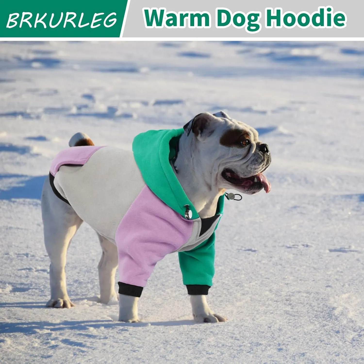 BRKURLEG Dog Hoodie - Warm Winter Coat with Calming Fleece Interior, Pocket and Hat for Small Medium Dogs (Green/Purple, S)