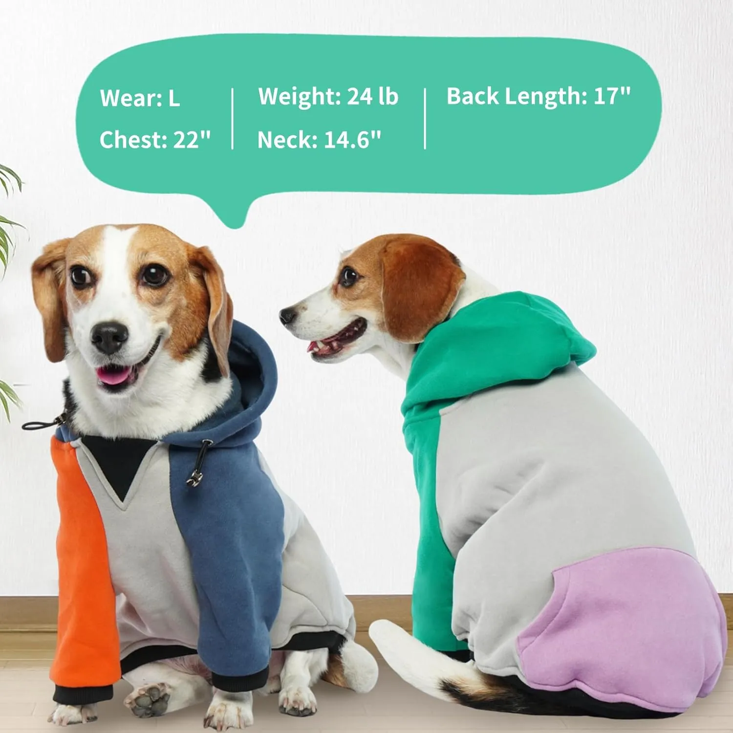 BRKURLEG Dog Hoodie - Warm Winter Coat with Calming Fleece Interior, Pocket and Hat for Small Medium Dogs (Green/Purple, S)