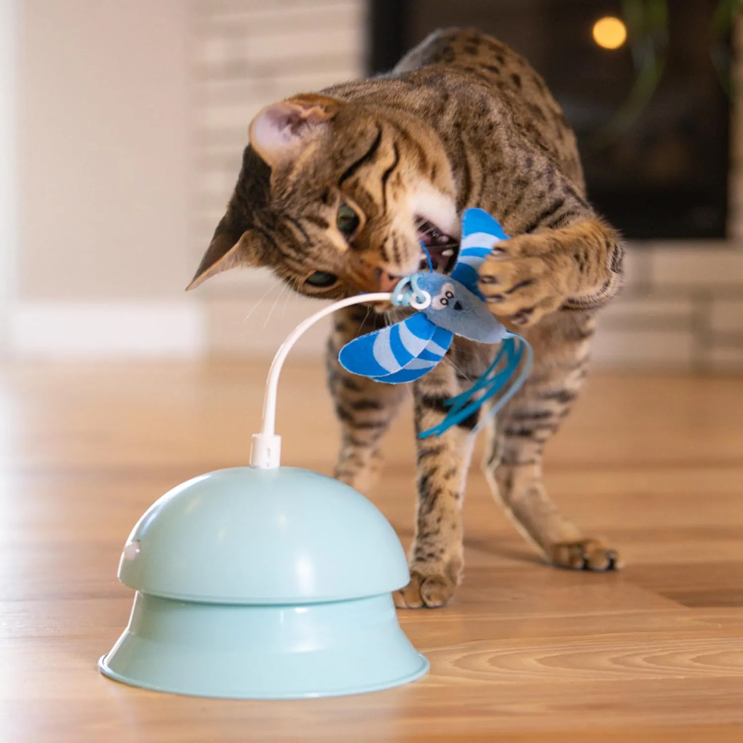 Catstages 2-in-1 Flutter Dome Electronic Cat Toy  Plush Motion Toy for Indoor Cats, Ball Track Add-On, Blue