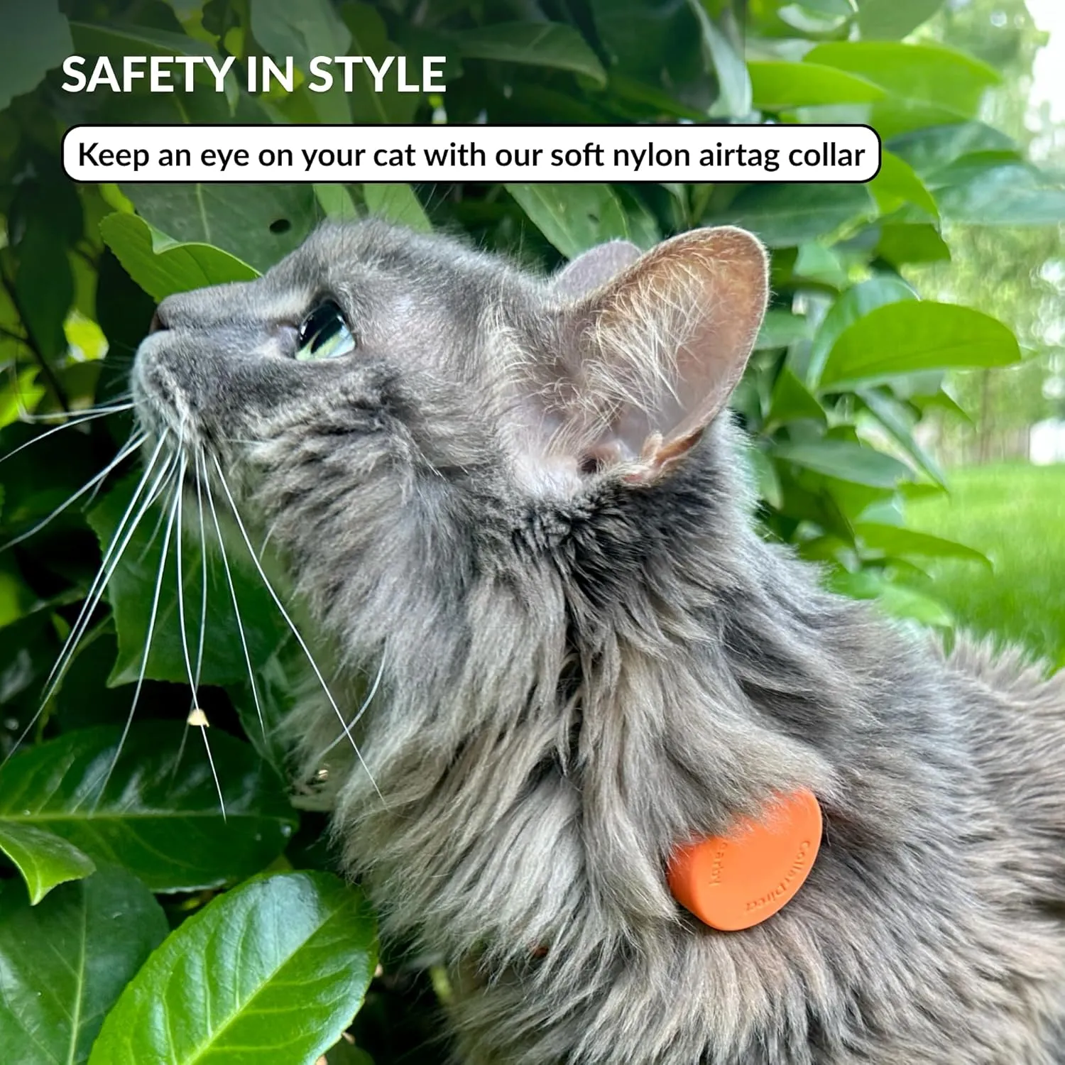 CollarDirect Airtag Cat Collar - Breakaway Nylon Collar with Airtag Holder and ID Tag for Kitten to Big Cat (Orange, S)