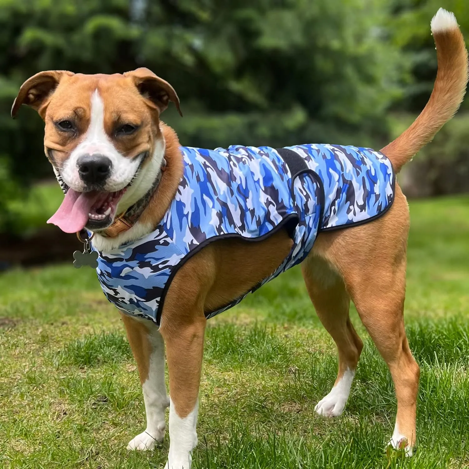 Dog Cooling Vest - 2-Layer Lightweight Performance - UPF50  Full Coverage & Adjustable Fit for Small to Large Dogs (Blue, Small)