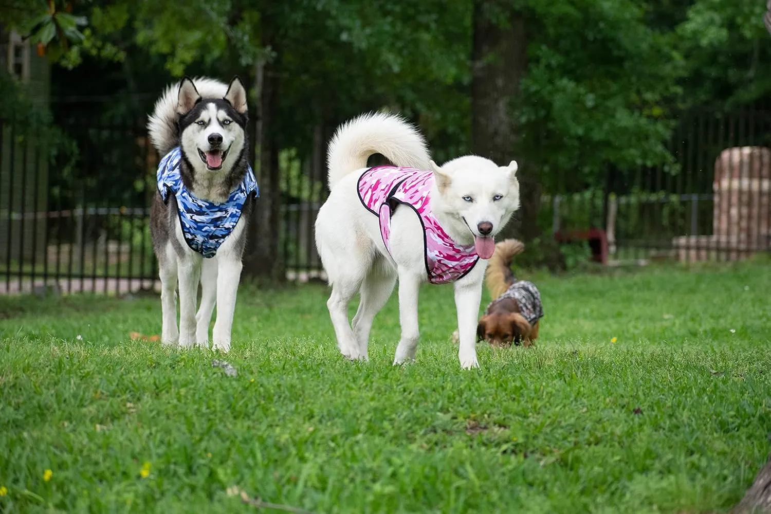 Dog Cooling Vest - 2-Layer Lightweight Performance - UPF50  Full Coverage & Adjustable Fit for Small to Large Dogs (Blue, Small)