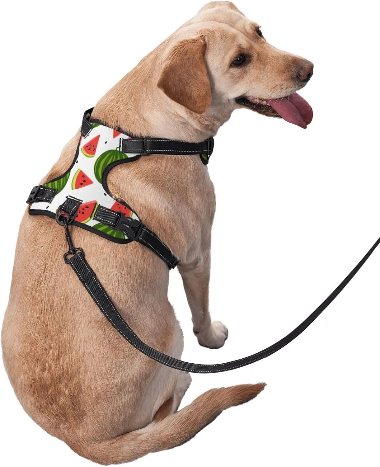 Dog Harness and Leash Set No Pull, Adjustable Reflective Dog Vest Harness with Handle Easy Control for Pet, Small, Medium, Large Dogs, Running, Walking (Large) -Watermelon