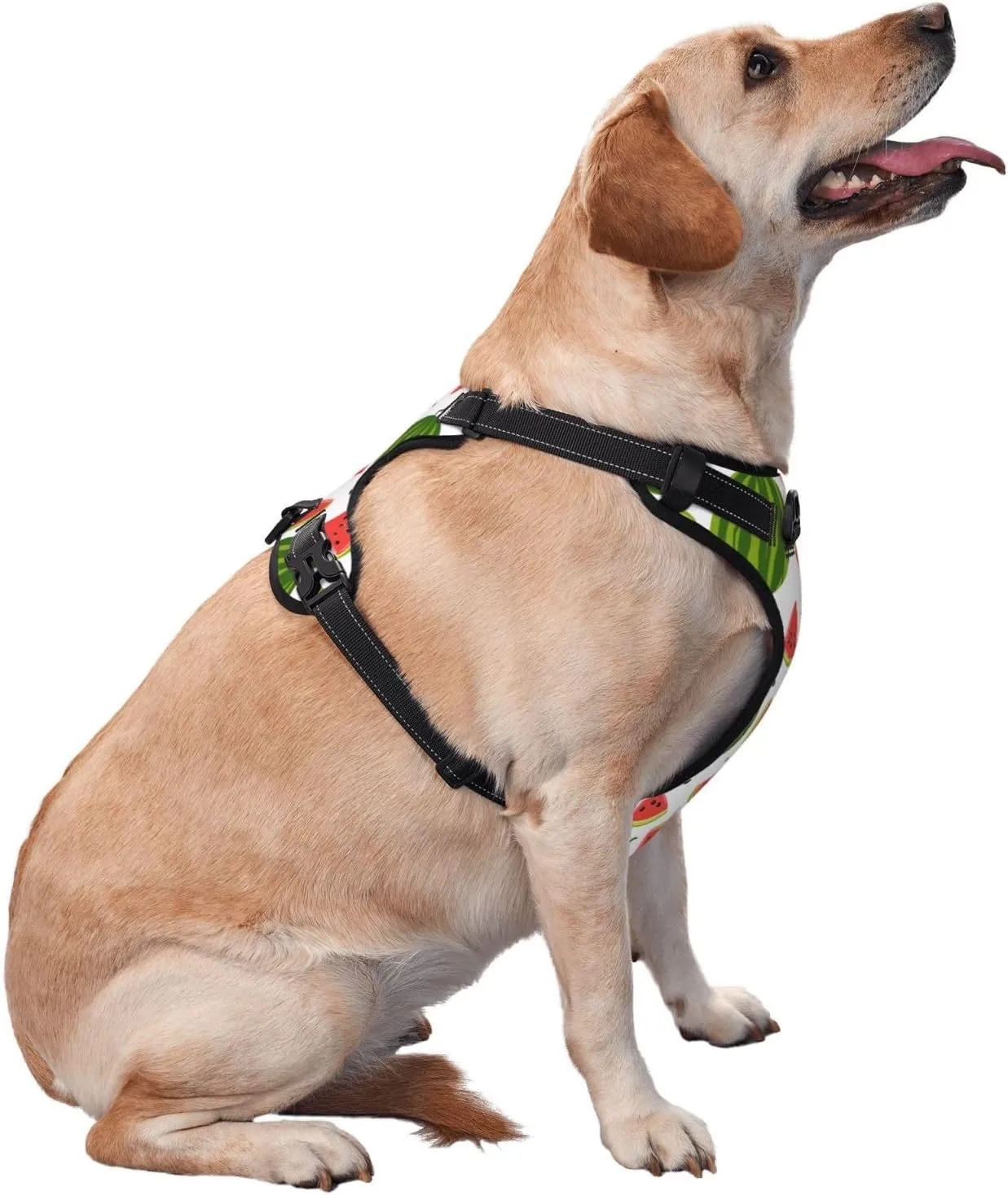 Dog Harness and Leash Set No Pull, Adjustable Reflective Dog Vest Harness with Handle Easy Control for Pet, Small, Medium, Large Dogs, Running, Walking (Large) -Watermelon