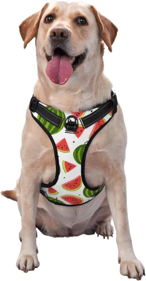 Dog Harness and Leash Set No Pull, Adjustable Reflective Dog Vest Harness with Handle Easy Control for Pet, Small, Medium, Large Dogs, Running, Walking (Large) -Watermelon