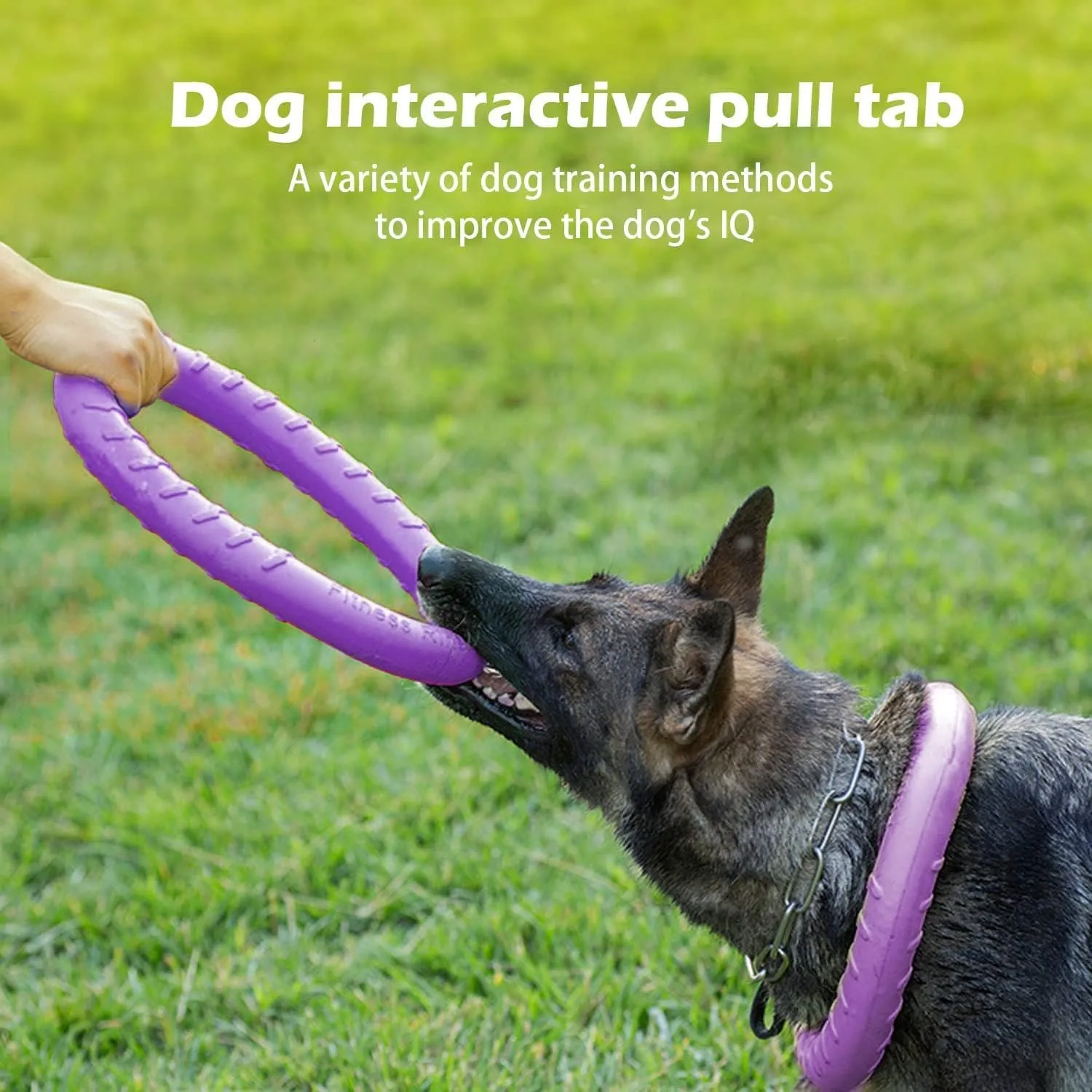 Dog Indestructible Durable Floating Flying Disc Dog Ring Chew Toys for Pool Swimming,Throwing,Catching,Grabbing Pitch Toss Outdoor Playing,Chewers