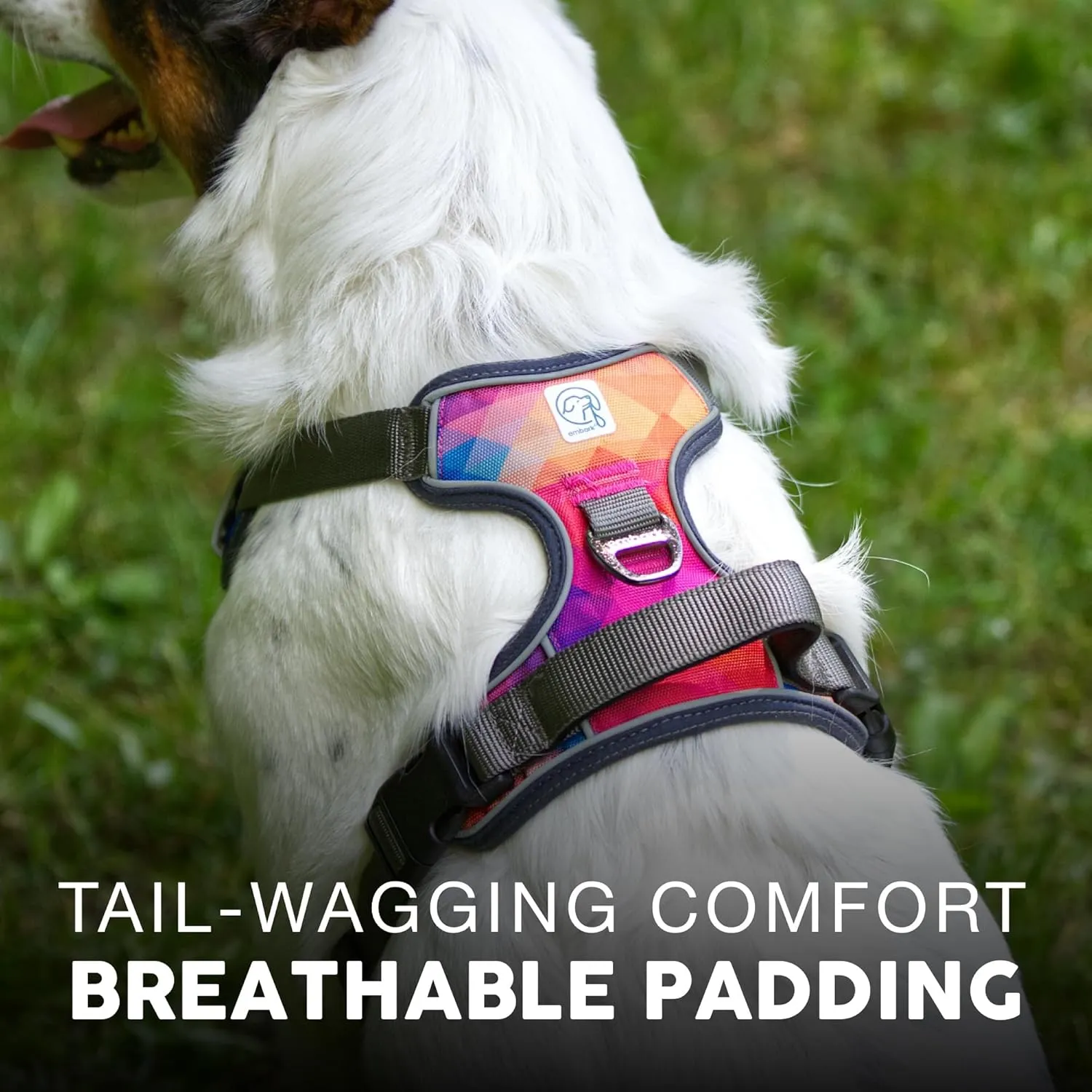 Embark Adventure Dog Harness, Reflective Trim No Pull Dog Harnesses for Small Sized Dogs - Military Grade Nylon, Front Clip with Gel Lined Handle. Soft & Padded Puppy