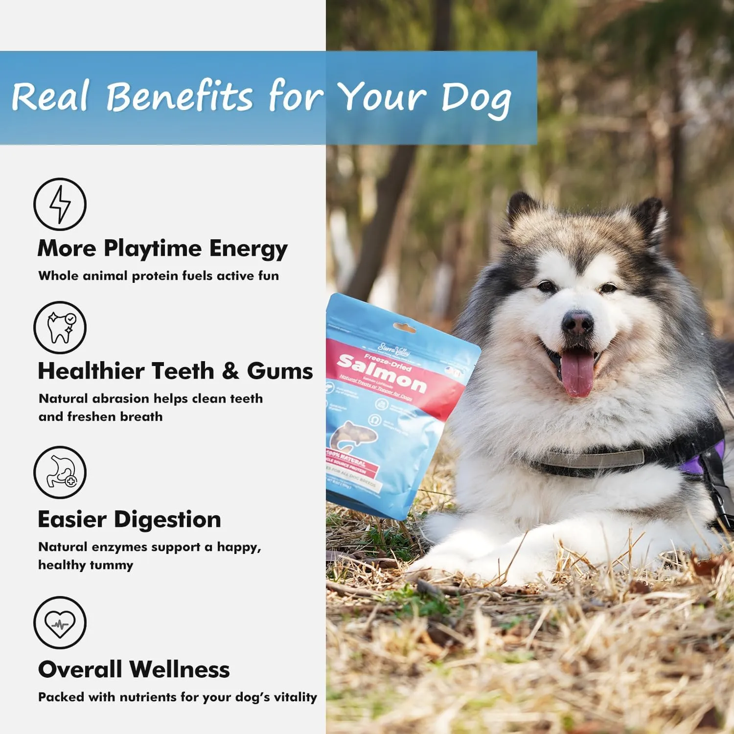 Freeze-Dried Salmon Dog Treats with Omega-3, Skin & Coat Health Soft Cubes, Single-Protein Limited Ingredient Diet, 2cm Easy Chew Size, Grain-Free Resealable Bag 6oz