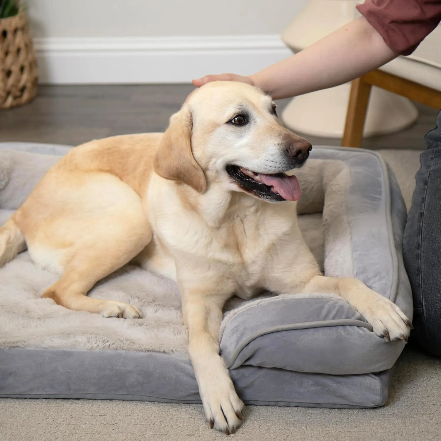 Furhaven Cooling Gel Dog Bed for Large/Medium Dogs w/ Removable Bolsters & Washable Cover, For Dogs Up to 55 lbs - Plush & Velvet Waves Perfect Comfort Sofa - Granite Gray, Large