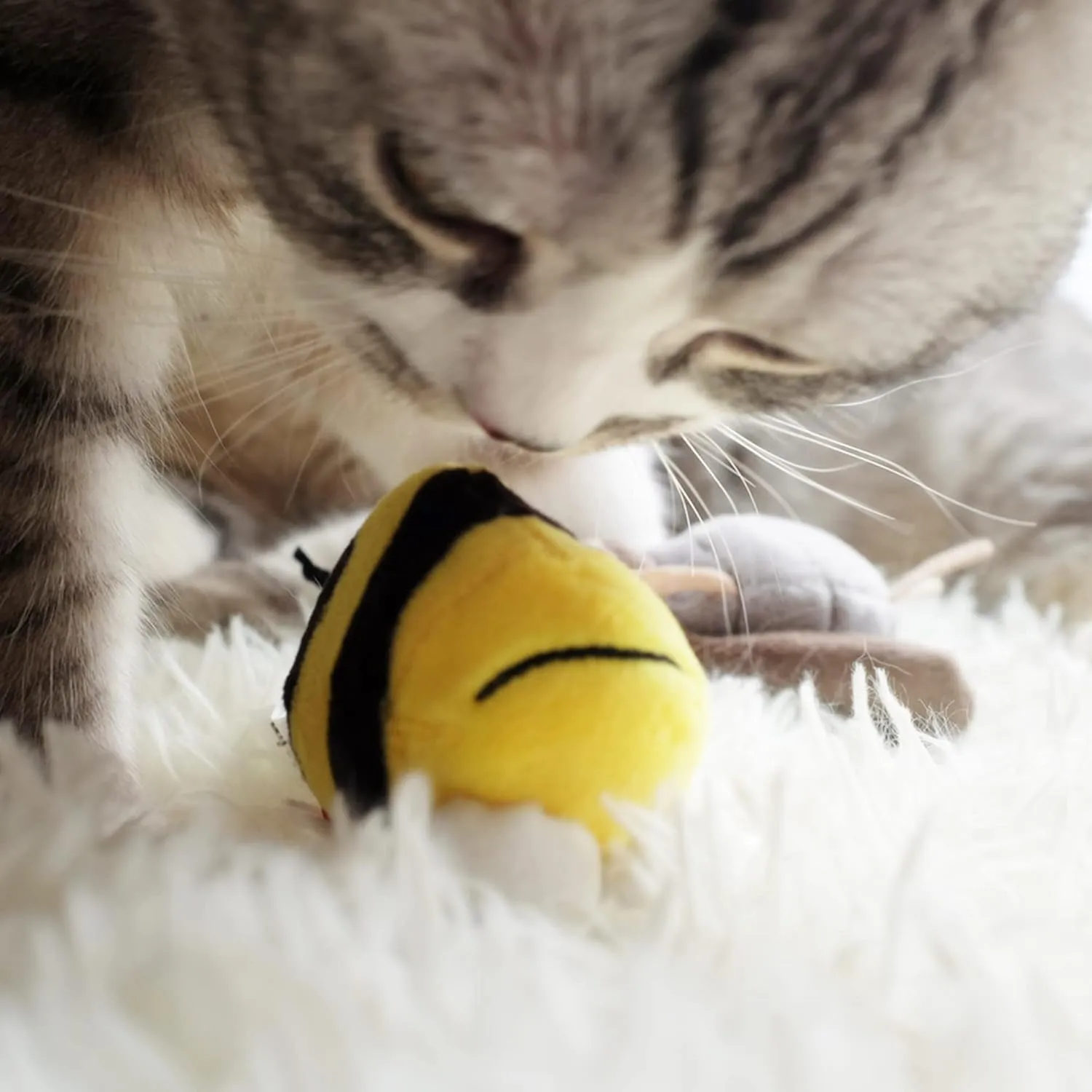 Gigwi Interactive Squeaking Cat ToyChirpy Bee Sound Toy for CatsMelody Chaser Play Squeak Kitten Toy for Boredom