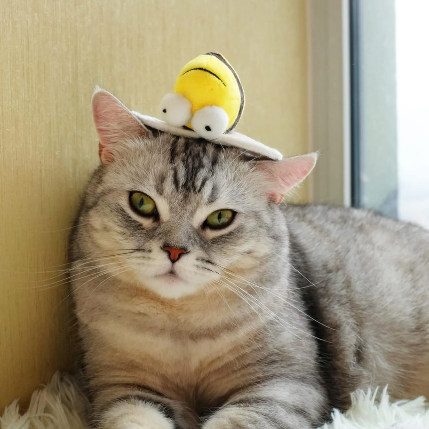 Gigwi Interactive Squeaking Cat ToyChirpy Bee Sound Toy for CatsMelody Chaser Play Squeak Kitten Toy for Boredom