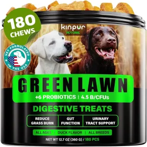 Green Lawn Chews for Dogs - Natural Dog Urine Neutralizer for Lawn with Cranberry, Probiotics, ACV & Digestive Enzymes - 180 Chews for Healthy Bladder, Urinary Tract - Grass Burn, Yellow Spots Treats
