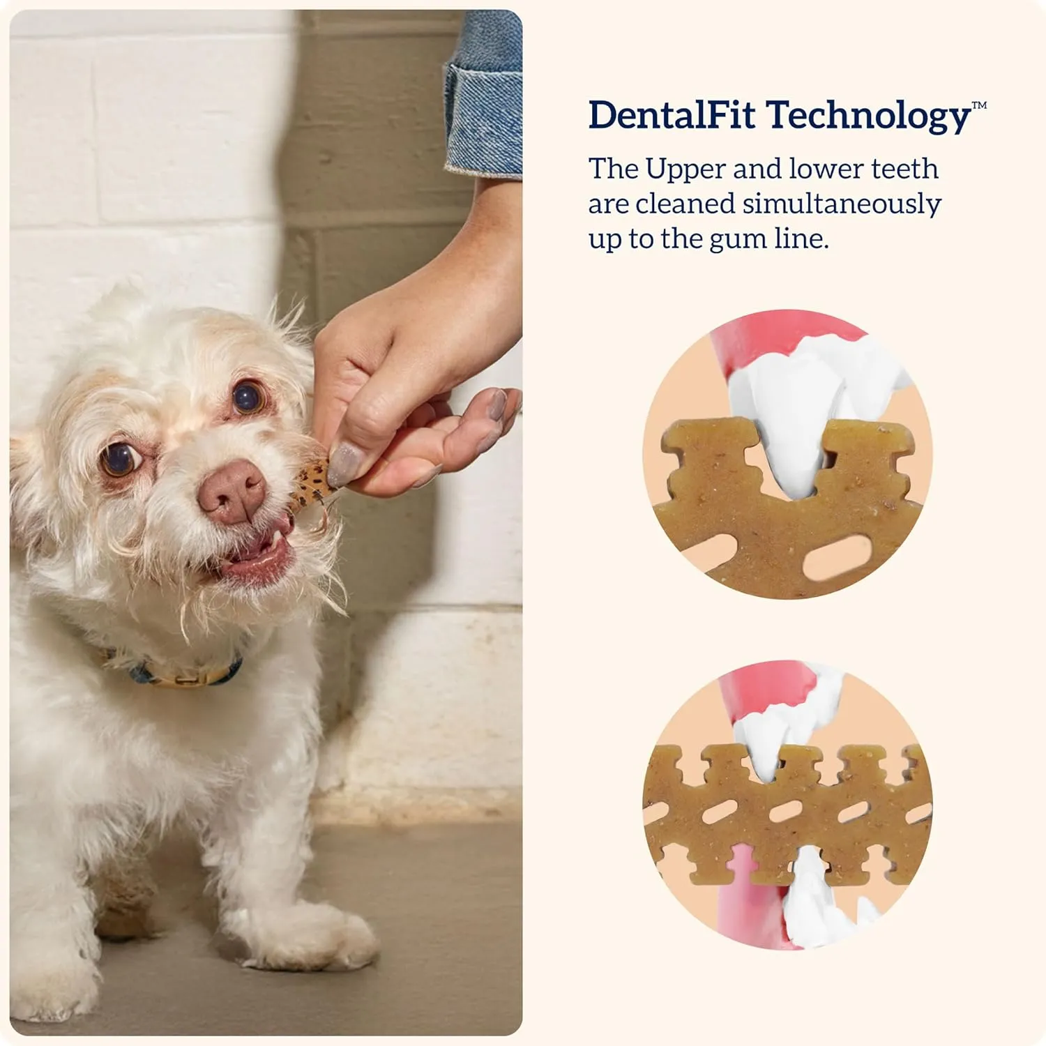 Groovies Senior Dog Dental Chew 27oz XLarge (18 Chews)