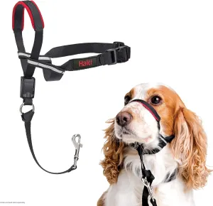 HALTI Optifit Headcollar - To Stop Your Dog Pulling on the Leash. Adjustable, Reflective and Lightweight, with Padded Nose Band. Dog Training Anti-Pull Collar for Medium Dogs (Size Medium)