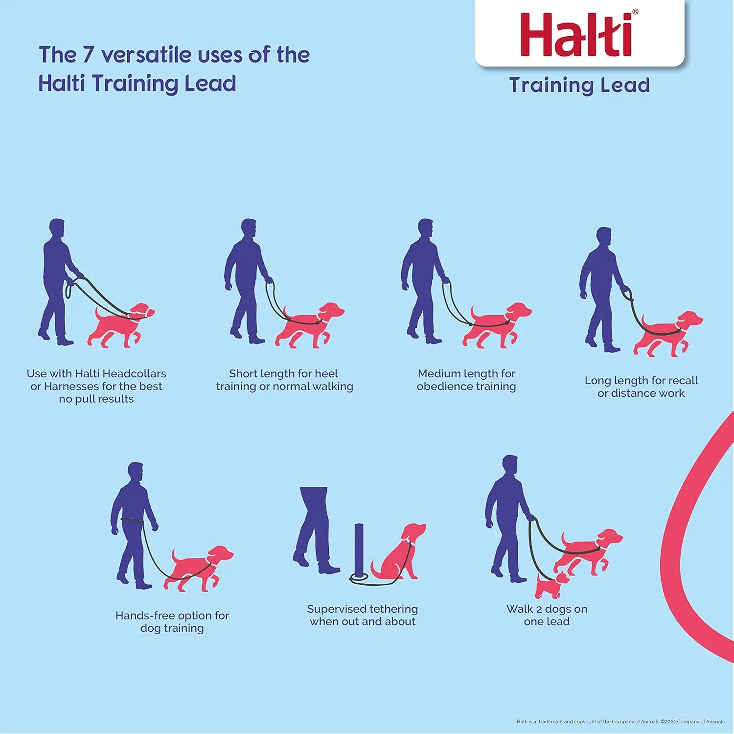 HALTI Training Leash - Multifunctional Double-Ended Dog Leash, Ideal for Anti-Pulling Dog Training. Easy to Use, Lightweight & Durable. Suitable for Medium to Large Dogs & Puppies (Size Large, Black)