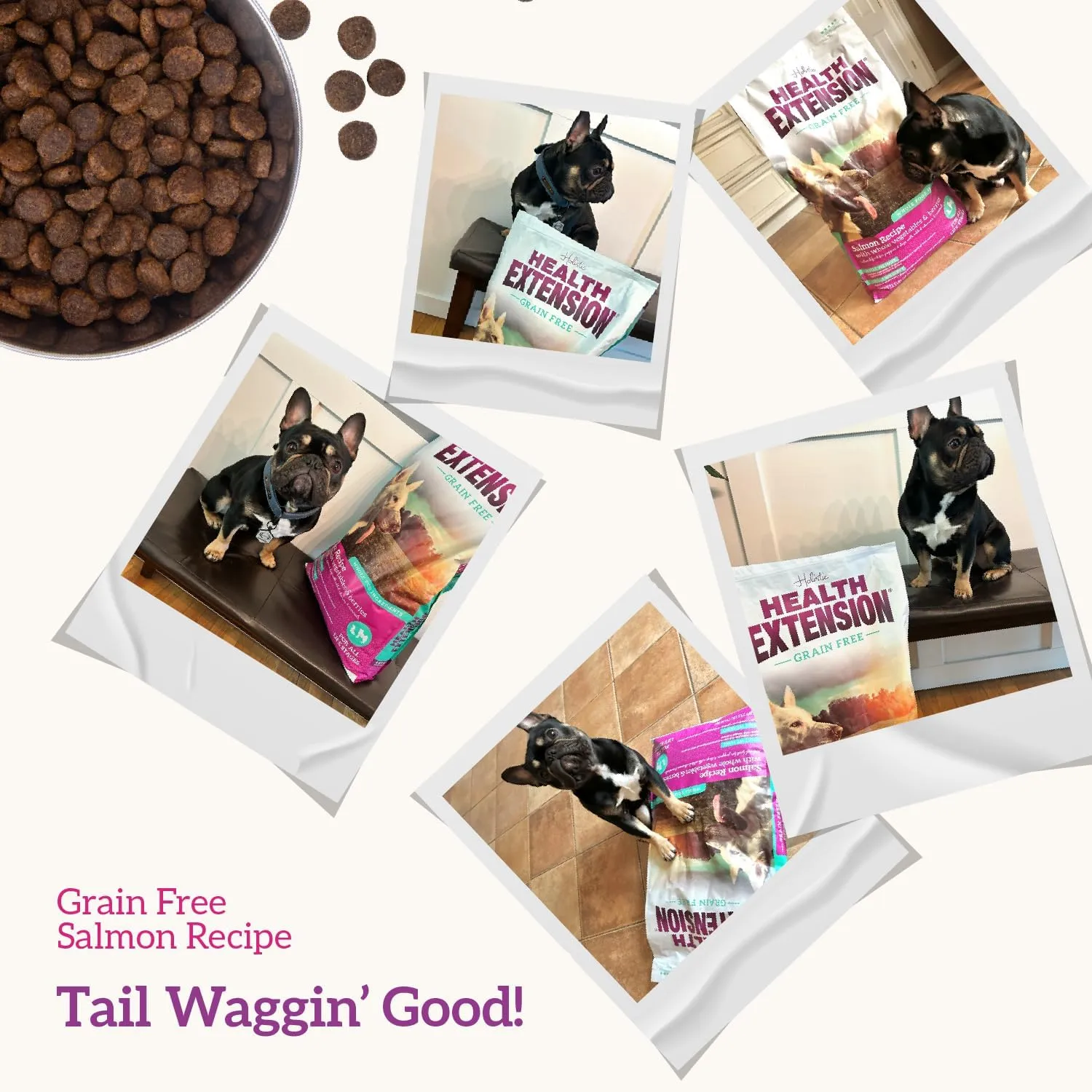 Health Extension Grain Free Salmon & Sweet Potato Dry Dog Food (23.5 lb / 10.66 kg) - Whole Foods Ingredients Formula with Omega 3 & Antioxidants for All Life Stages Dogs