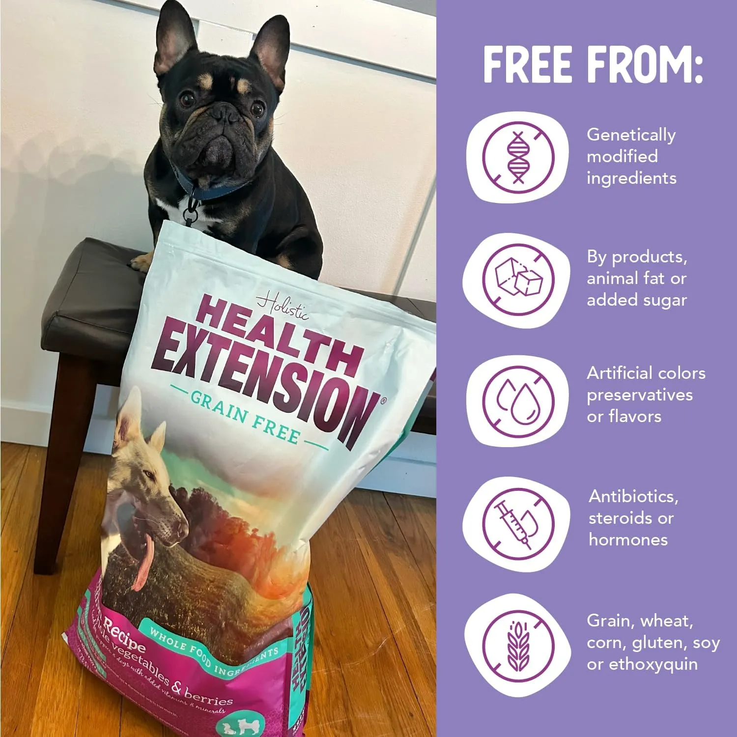 Health Extension Grain Free Salmon & Sweet Potato Dry Dog Food (23.5 lb / 10.66 kg) - Whole Foods Ingredients Formula with Omega 3 & Antioxidants for All Life Stages Dogs