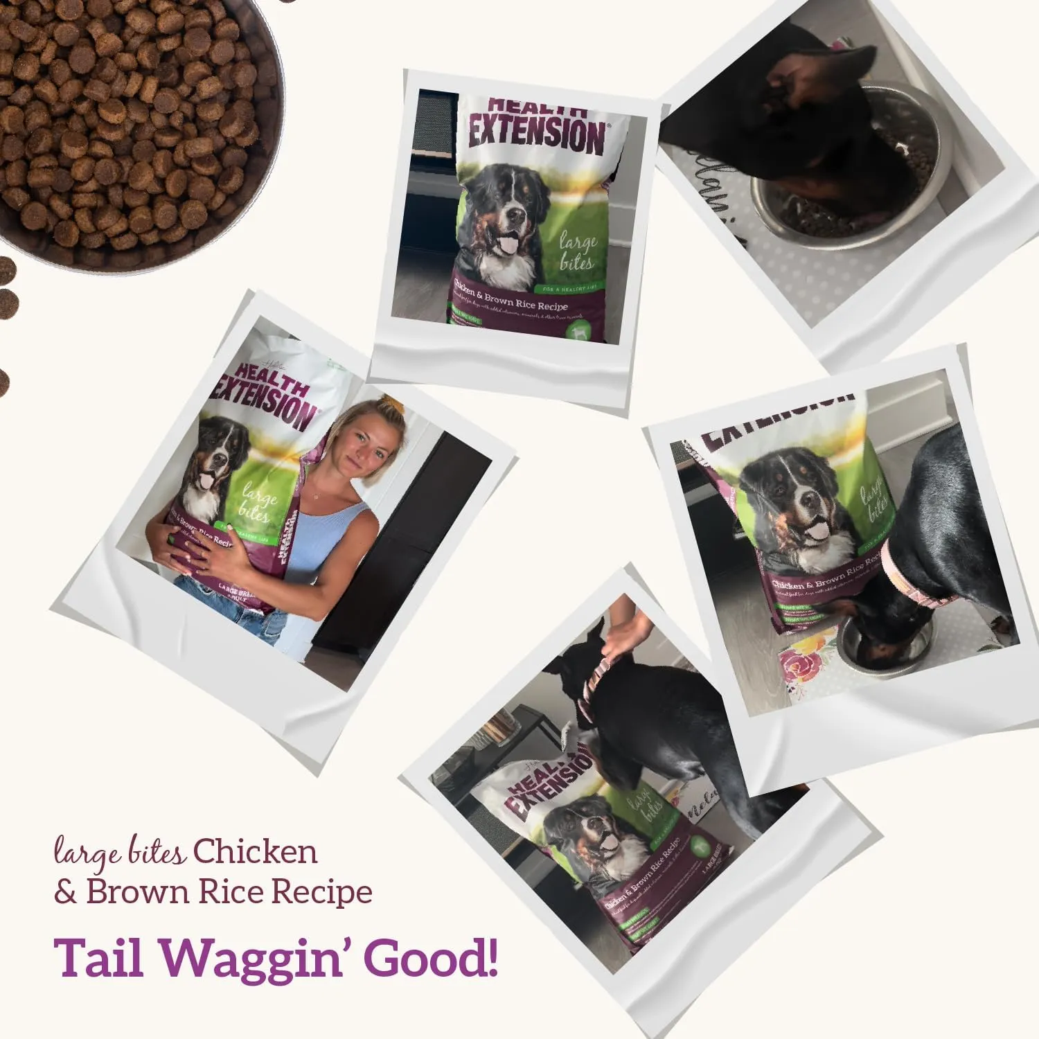 Health Extension Large Bites Chicken & Brown Rice Dry Dog Food (30 lb / 13.61 kg) - Protein-Rich Formula with Probiotics & Essential Nutrients for Larger Breeds