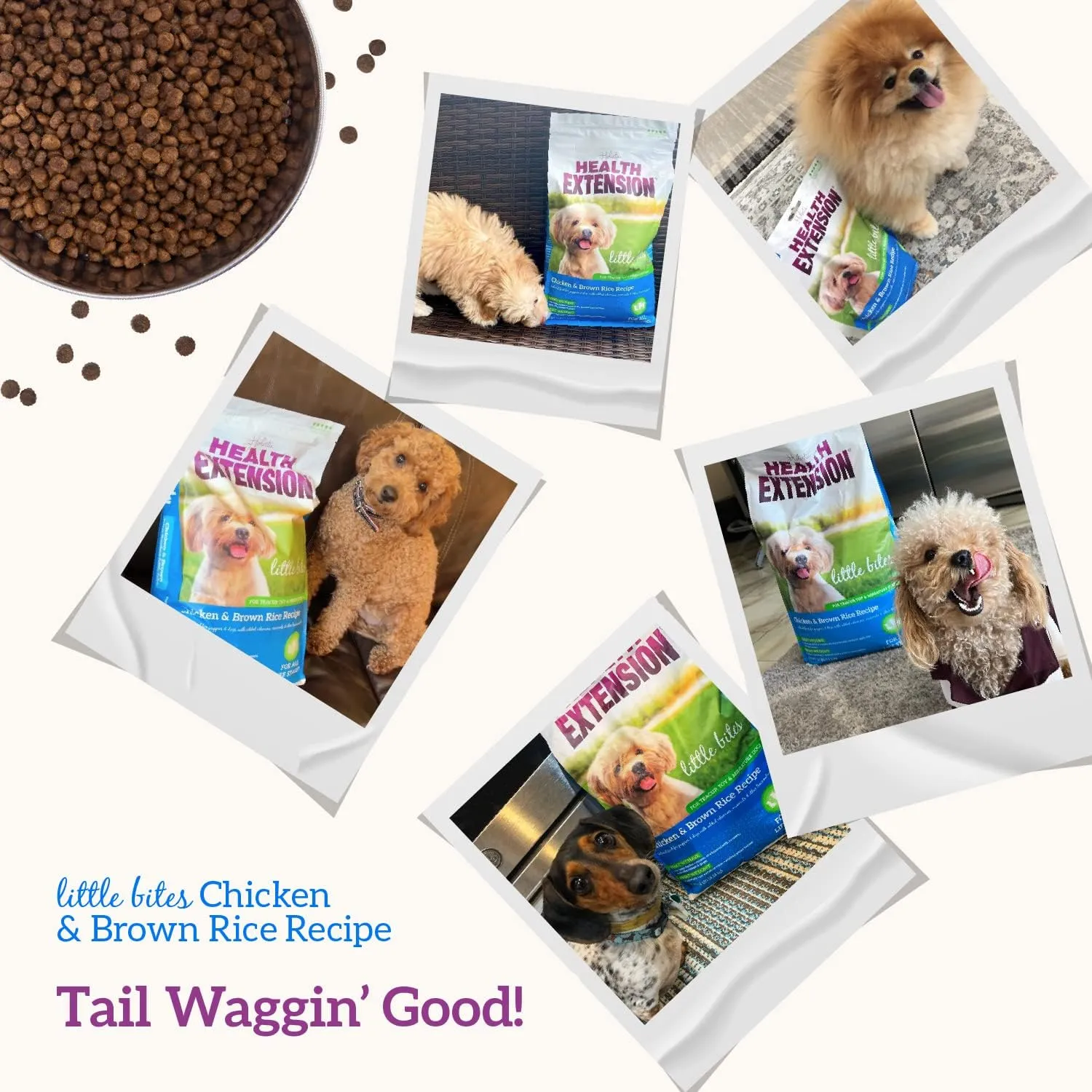 Health Extension Little Bites Chicken & Brown Rice Dry Dog Food (4 lb / 1.8 Kg) - Natural with Probiotics and Superfoods for Teacup, Toy & Small Breeds