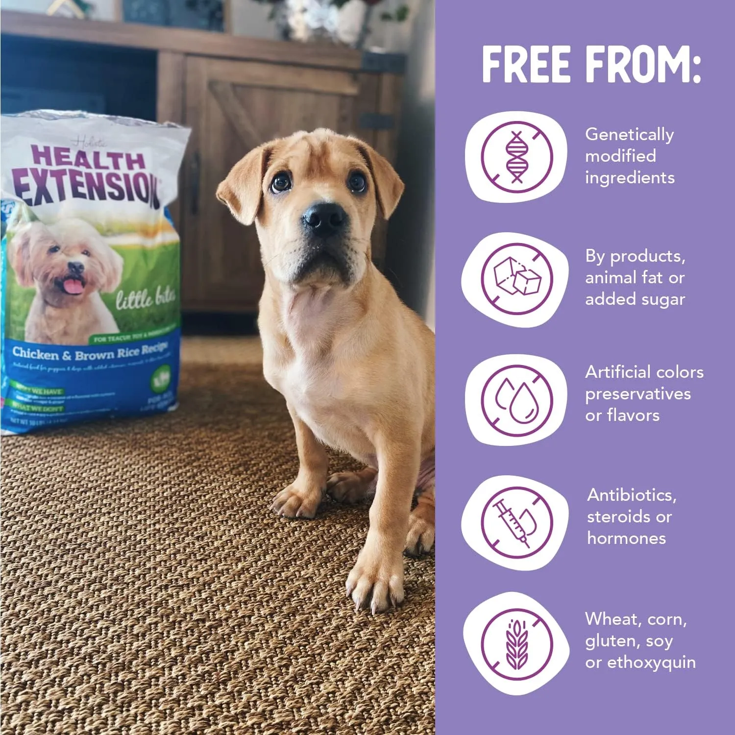 Health Extension Little Bites Chicken & Brown Rice Dry Dog Food (4 lb / 1.8 Kg) - Natural with Probiotics and Superfoods for Teacup, Toy & Small Breeds