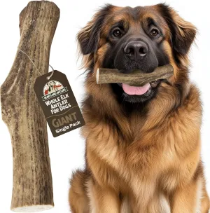 Heartland Elk Antlers for Dogs (Whole Elk, 9 ", Giant, 1-Pack)  Grade A, Naturally Shed | Durable, Odor-Free Chew for Aggressive Chewers & Puppies | Splinter-Free | USA Made | Veteran Owned