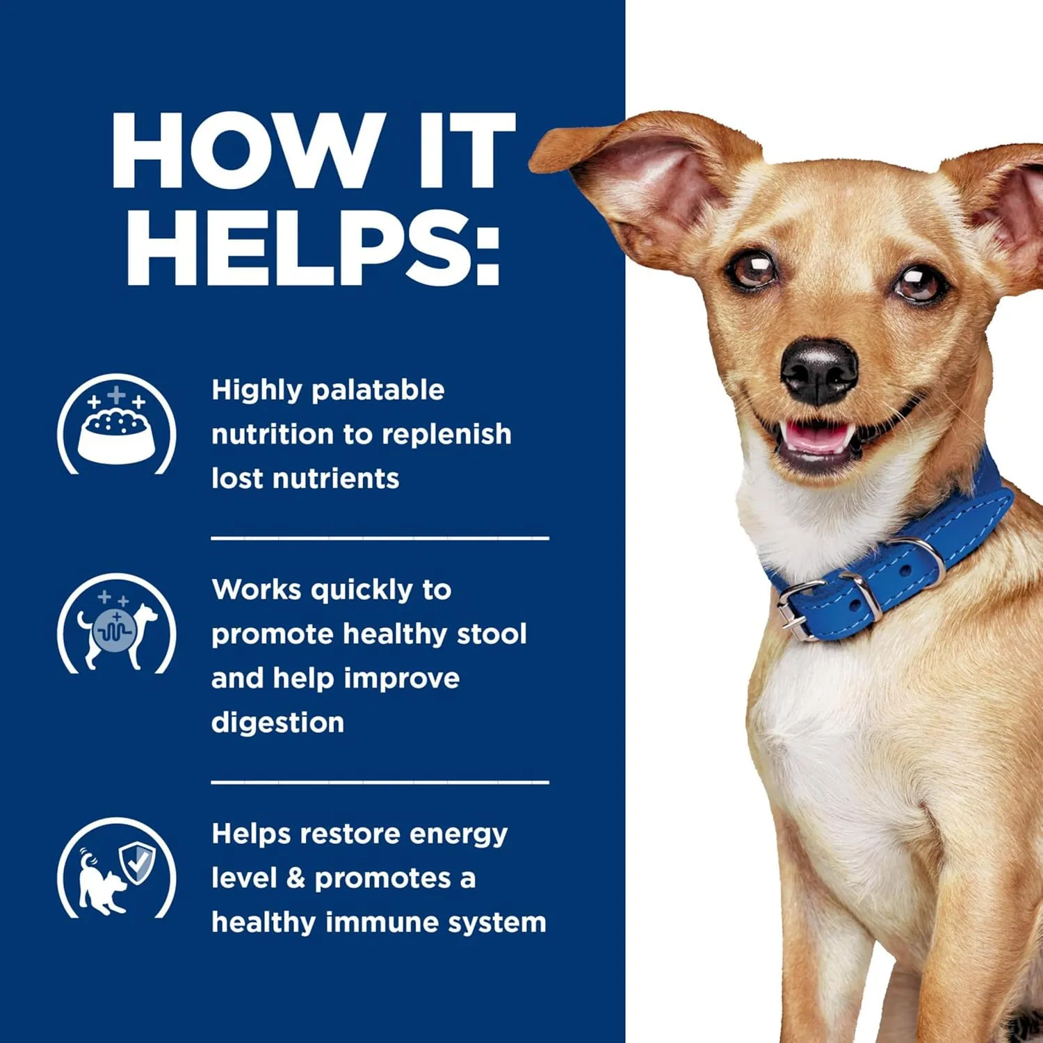 Hill's Prescription Diet i/d Digestive Care Small Bites Chicken Flavor Dry Dog Food, Veterinary Diet, 7 lb. Bag