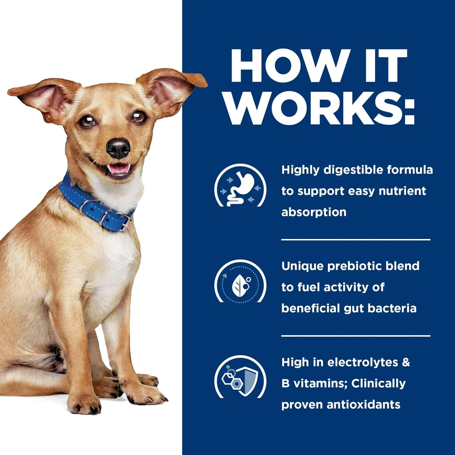 Hill's Prescription Diet i/d Digestive Care Small Bites Chicken Flavor Dry Dog Food, Veterinary Diet, 7 lb. Bag