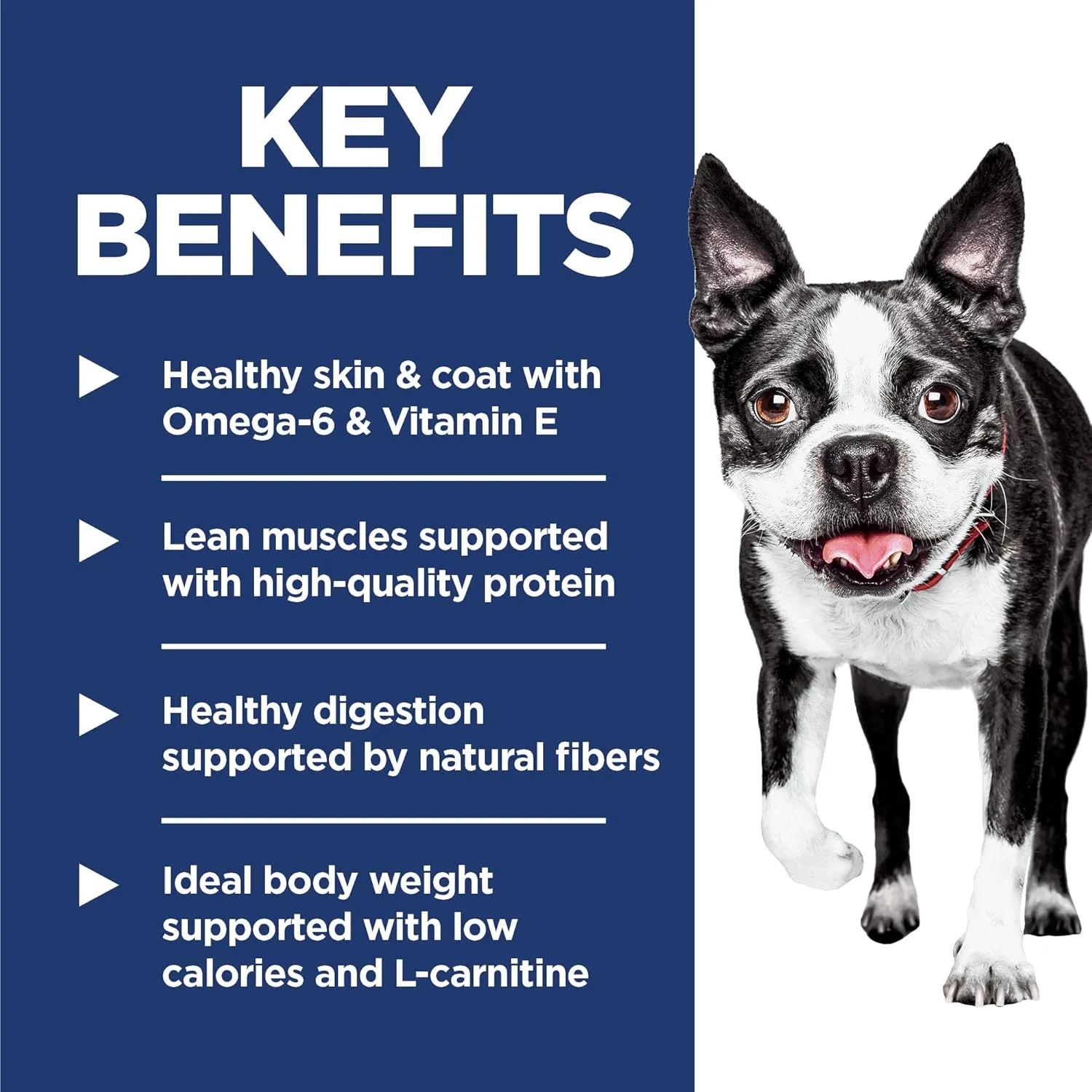 Hill's Science Diet Light , Adult 1-6, Weight Management Support, Small Kibble, Dry Dog Food, Chicken & Barley, 15 lb Bag