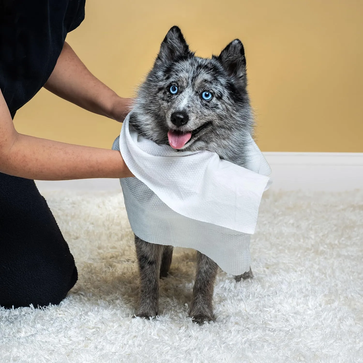 Himmy XL Pet Wipes for Dogs and Cats  18 x 30 Bath Wipes for Cleaning, Deodorizing, Conditioning, Anti-Itch Grooming, Wet Dog Wipes for Paws, Butt, Ear, Eye, Face Whole Body Lavender