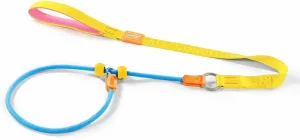 HOWGO Dog Slip Lead Dog Leash,Training Leash,Cinch Leash, No-Pull Slip Leash and Collar,Heavy Duty&Durable,Padded Handle,for All Breeds(Multicolor, 3.6FT)