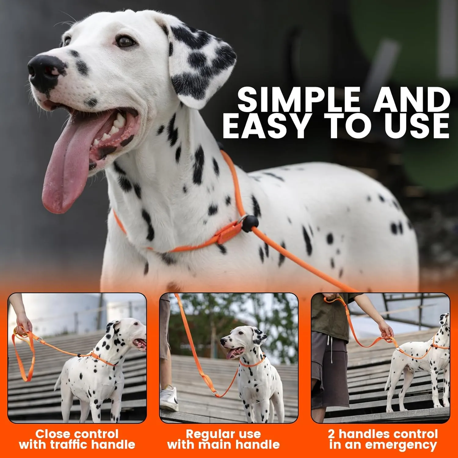 HOWGO Dog Slip Lead Dog Leash,Training Leash,Cinch Leash, No-Pull Slip Leash and Collar,Heavy Duty&Durable,Padded Handle,for All Breeds(Multicolor, 3.6FT)