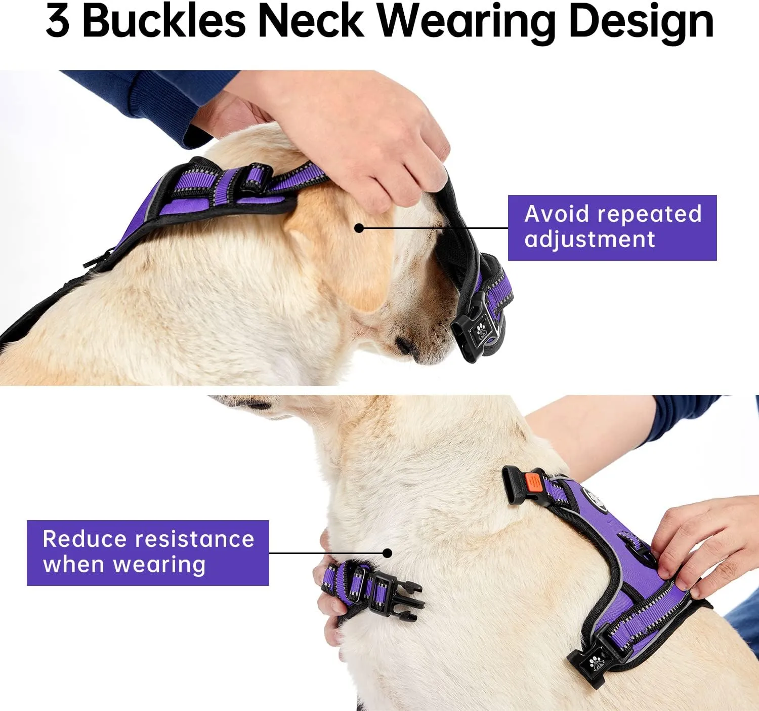 IVY&LANE No Pull Dog Harness for Small Dogs, Dog Vest Harness with Leash, Safety Belt and Storage Strap, Fully Adjustable Harness, 360 Reflective Strip, Soft Handle (Purple, S)