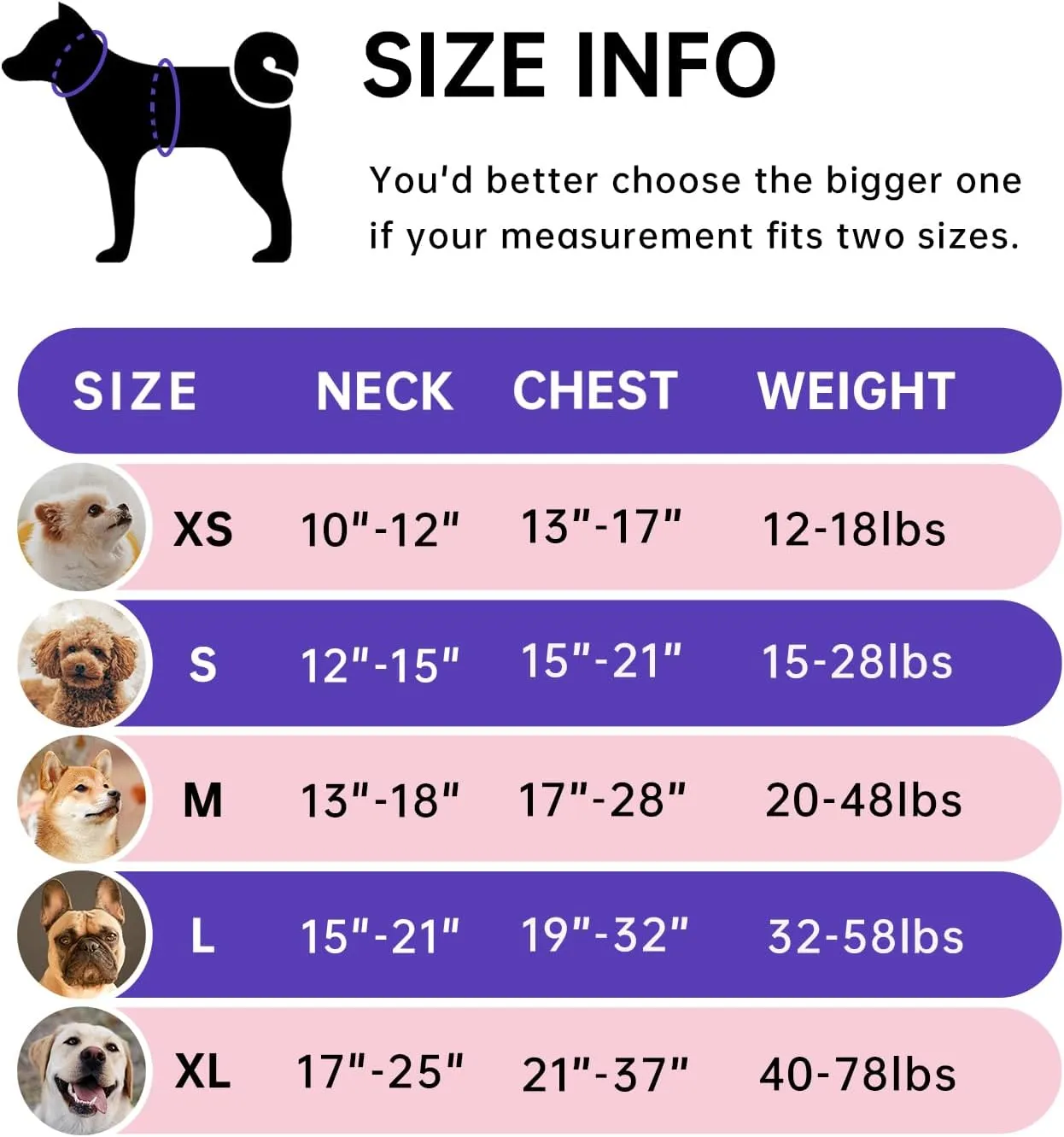 IVY&LANE No Pull Dog Harness for Small Dogs, Dog Vest Harness with Leash, Safety Belt and Storage Strap, Fully Adjustable Harness, 360 Reflective Strip, Soft Handle (Purple, S)