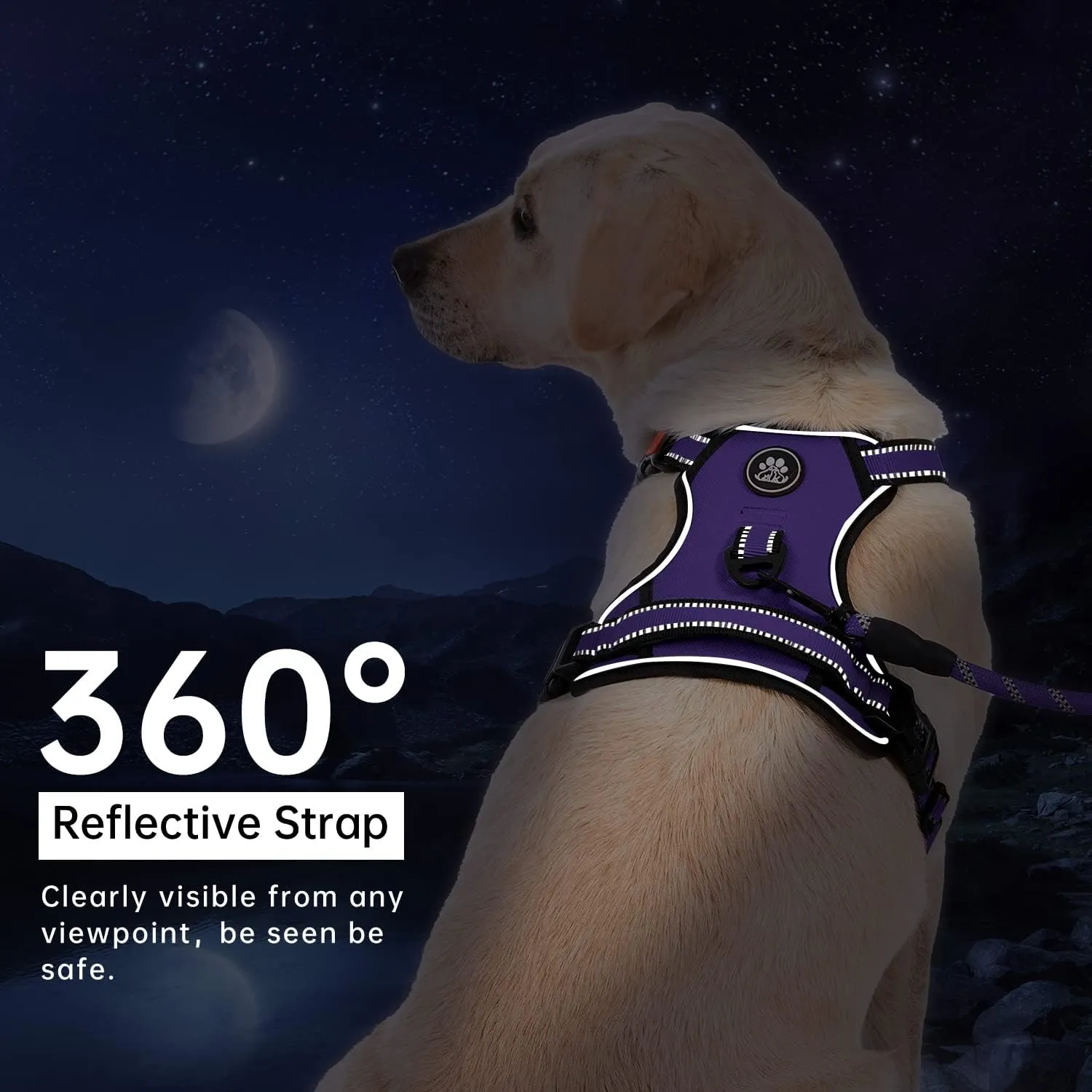 IVY&LANE No Pull Dog Harness for Small Dogs, Dog Vest Harness with Leash, Safety Belt and Storage Strap, Fully Adjustable Harness, 360 Reflective Strip, Soft Handle (Purple, S)