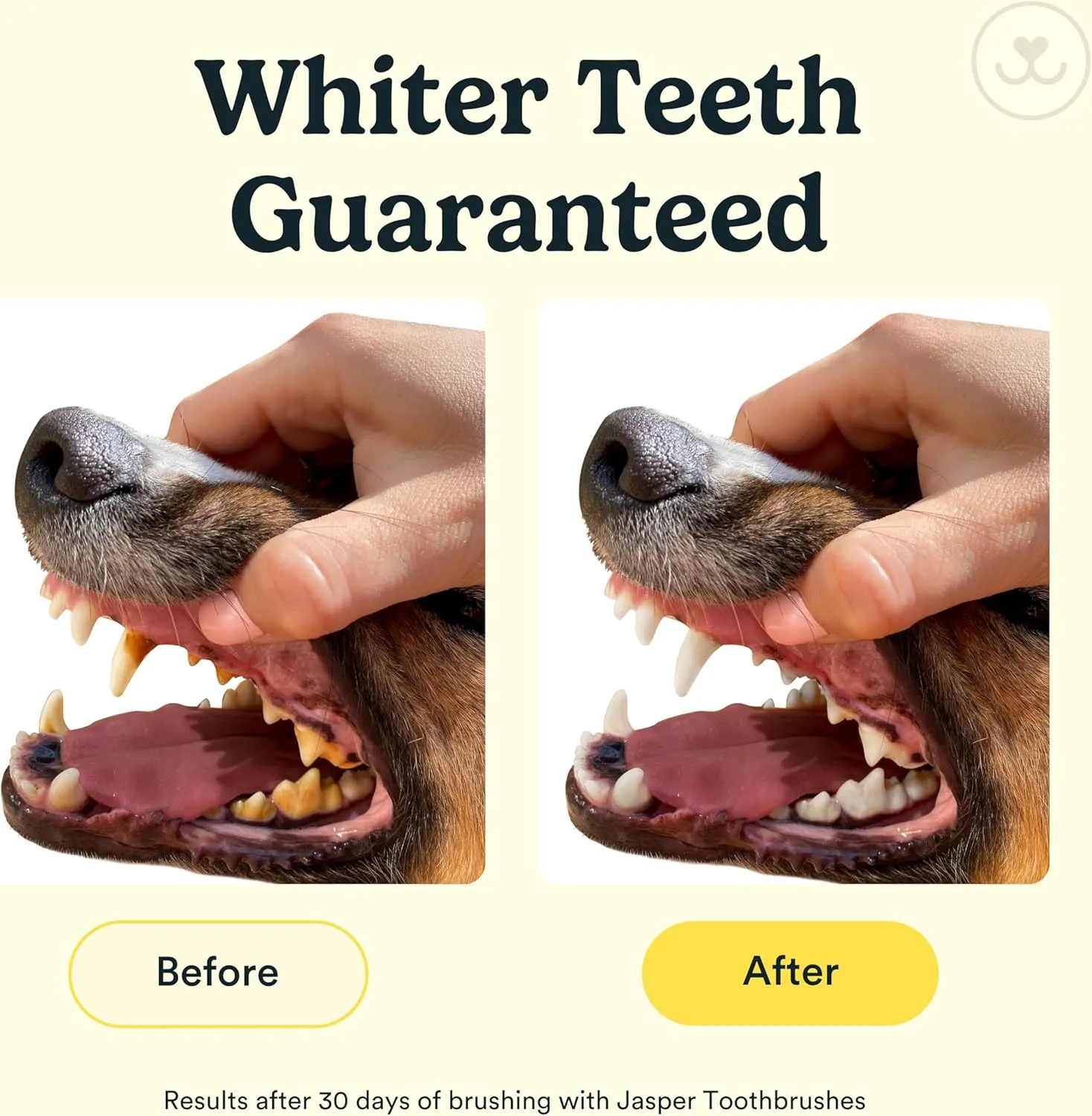 Jasper Dog Toothbrush, 360 Degree Pet Tooth Brushing Kit, Cat Toothbrush, Canine Dental Care & Teeth Cleaning Kit, Pet Finger Tooth Brush, Use with Dog Toothpaste, 16-Pack Blue