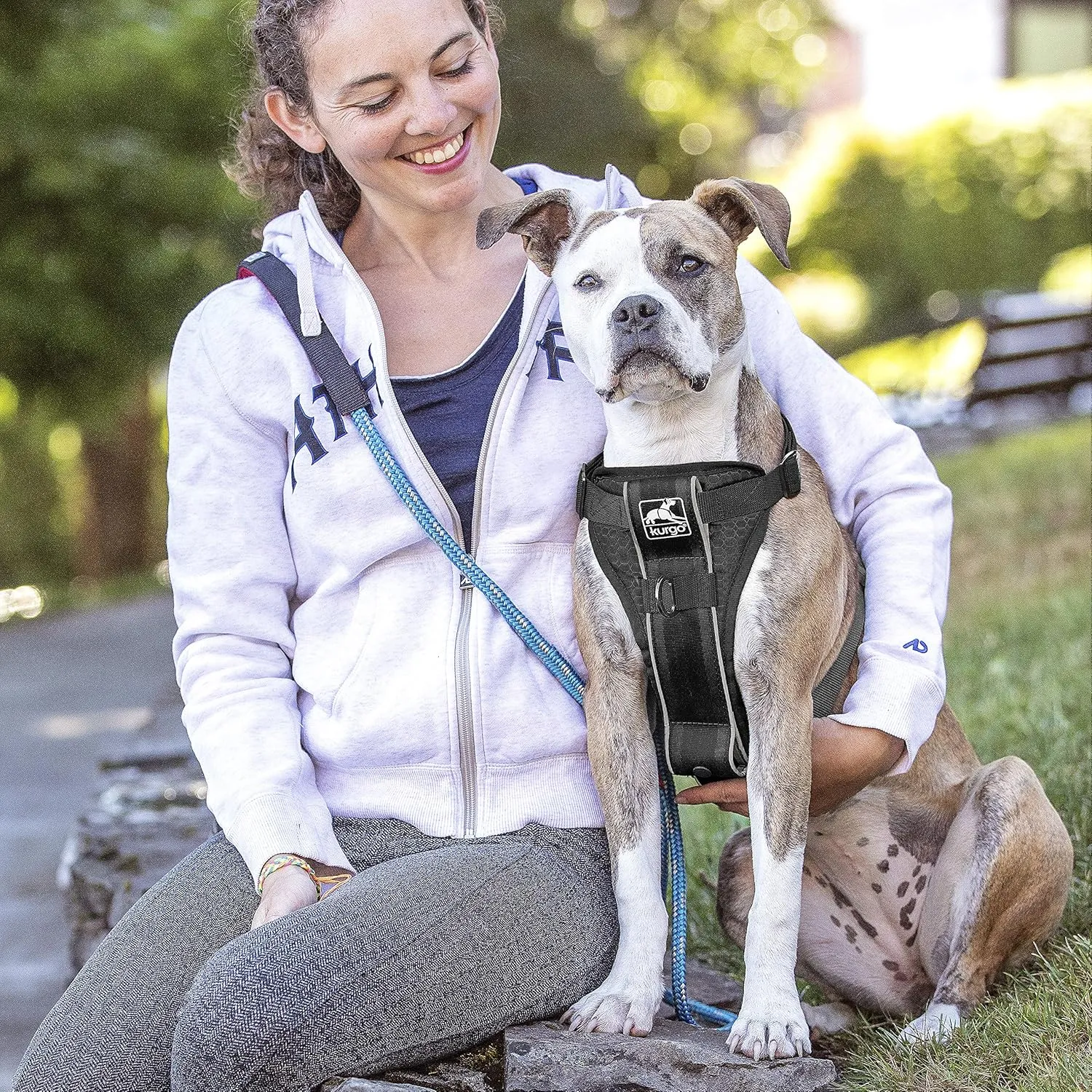 Kurgo Tru-Fit Smart Harness, Dog Harness, Pet Walking Harness, Quick Release Buckles, Front D-Ring for No Pull Training, Includes Dog Seat Belt Tether (Black, X-Large)