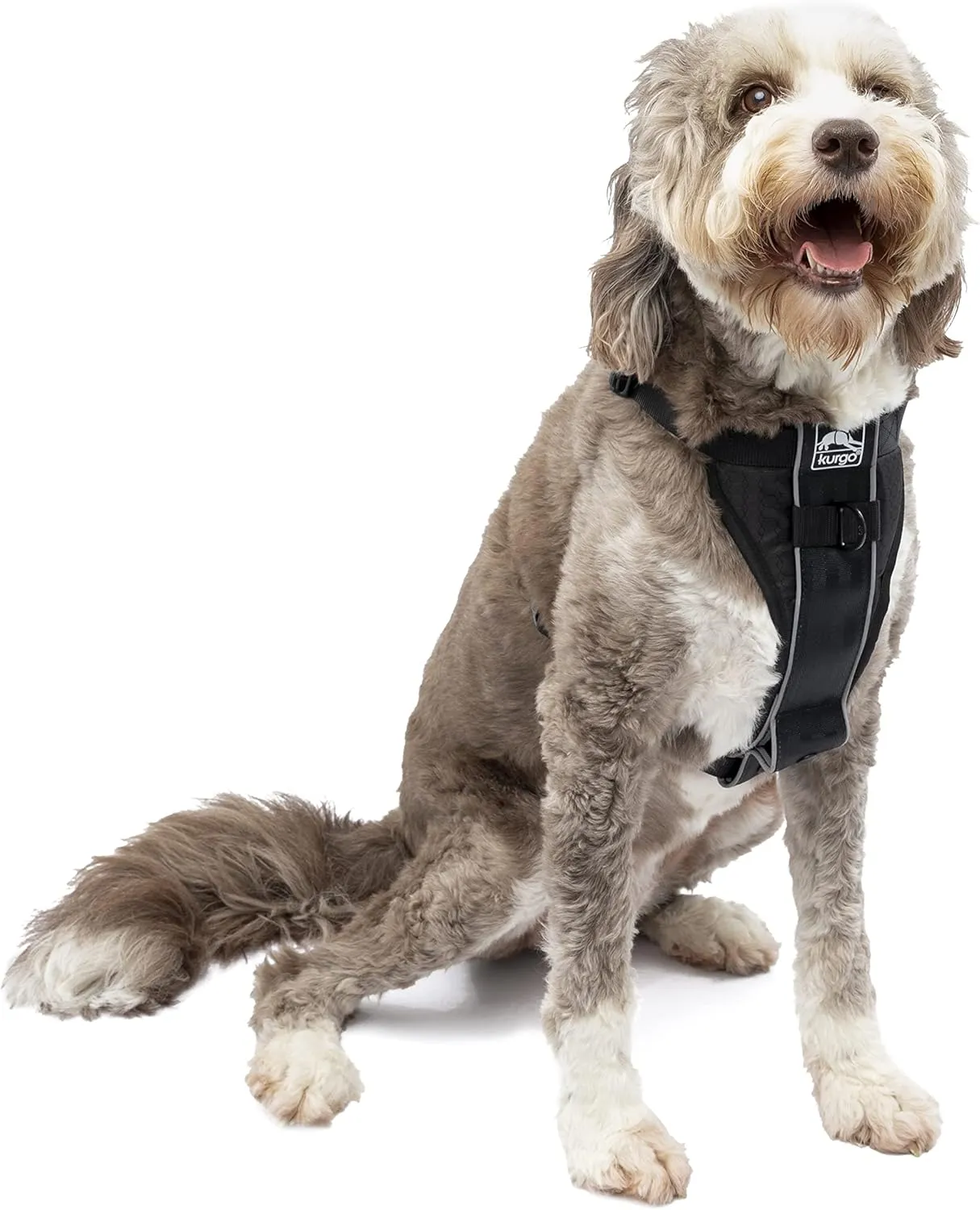 Kurgo Tru-Fit Smart Harness, Dog Harness, Pet Walking Harness, Quick Release Buckles, Front D-Ring for No Pull Training, Includes Dog Seat Belt Tether (Black, X-Large)