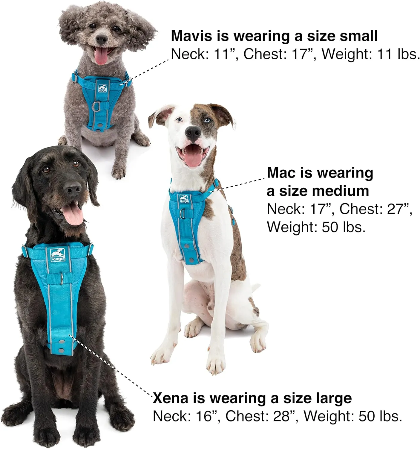 Kurgo Tru-Fit Smart Harness, Dog Harness, Pet Walking Harness, Quick Release Buckles, Front D-Ring for No Pull Training, Includes Dog Seat Belt Tether (Black, X-Large)