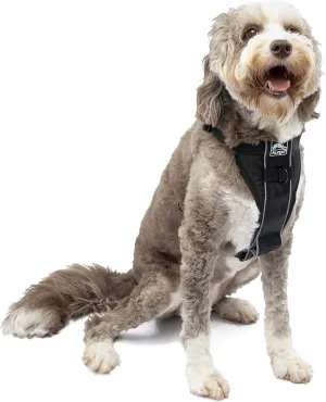 Kurgo Tru-Fit Smart Harness, Dog Harness, Pet Walking Harness, Quick Release Buckles, Front D-Ring for No Pull Training, Includes Dog Seat Belt Tether (Black, X-Large)